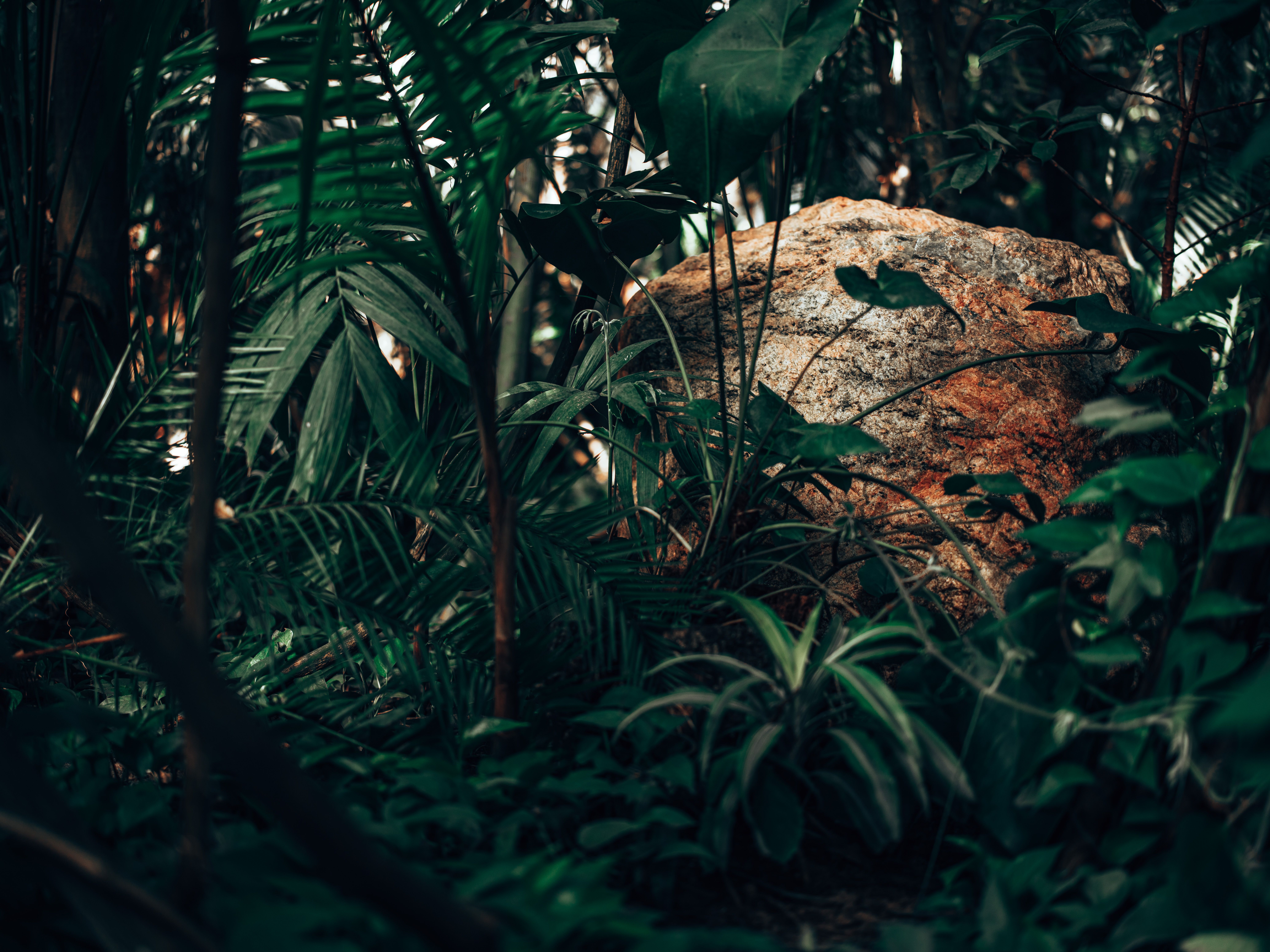 jungle-themed slot game jungle-themed slot game